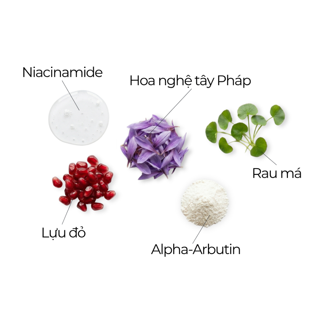 Serum_thumbnail_9