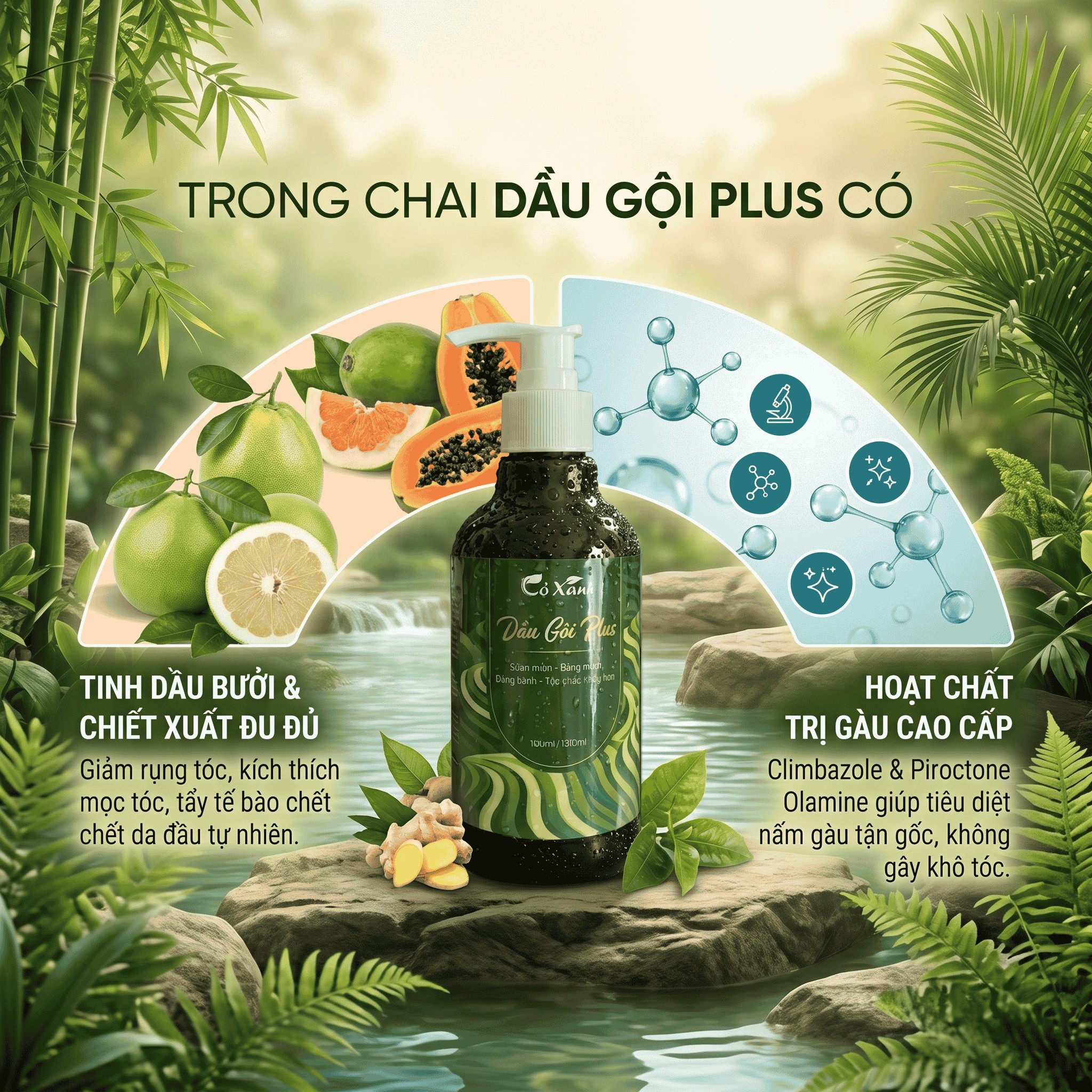 Dầu Gội Plus Cỏ Xanh - Tinh chất đu đủ làm sạch Gàu Nấm_thumbnail_3