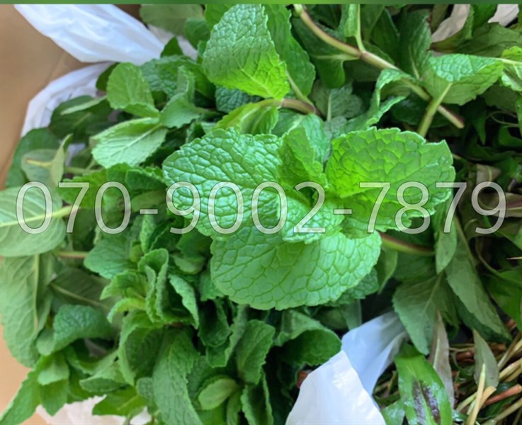 Húng lủi | 50g