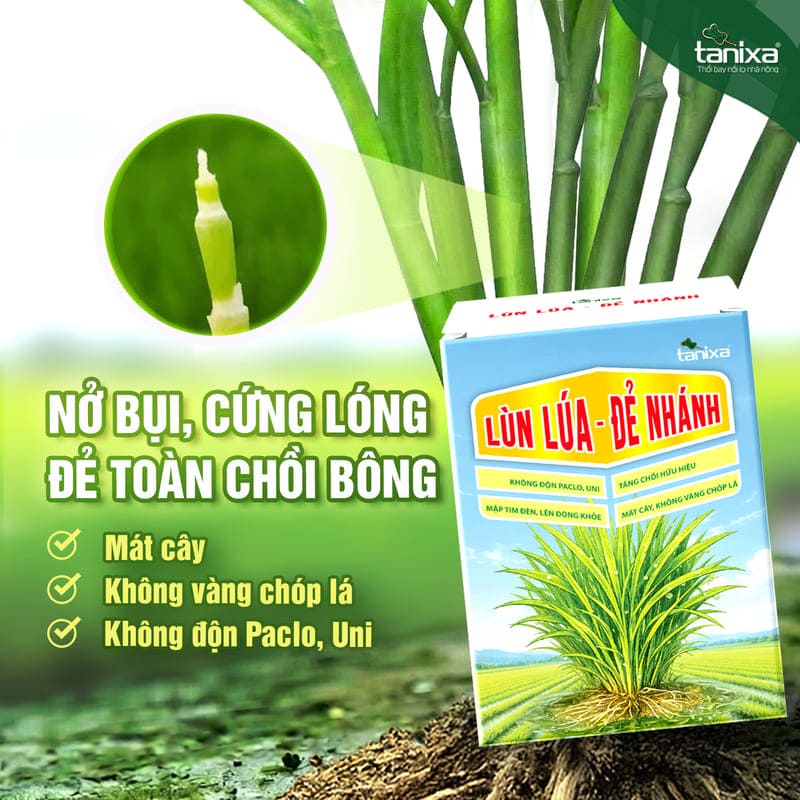 Bộ chuyên lùn lúa - đẻ nhánh Tanixa_thumbnail_1