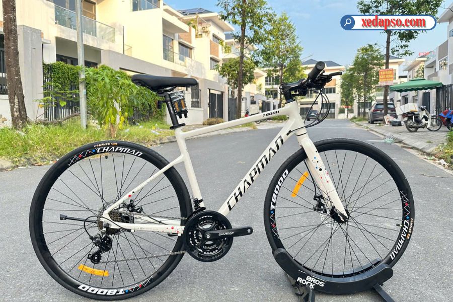 Xe đạp đường Phố Chapman T8000 Màu Trắng