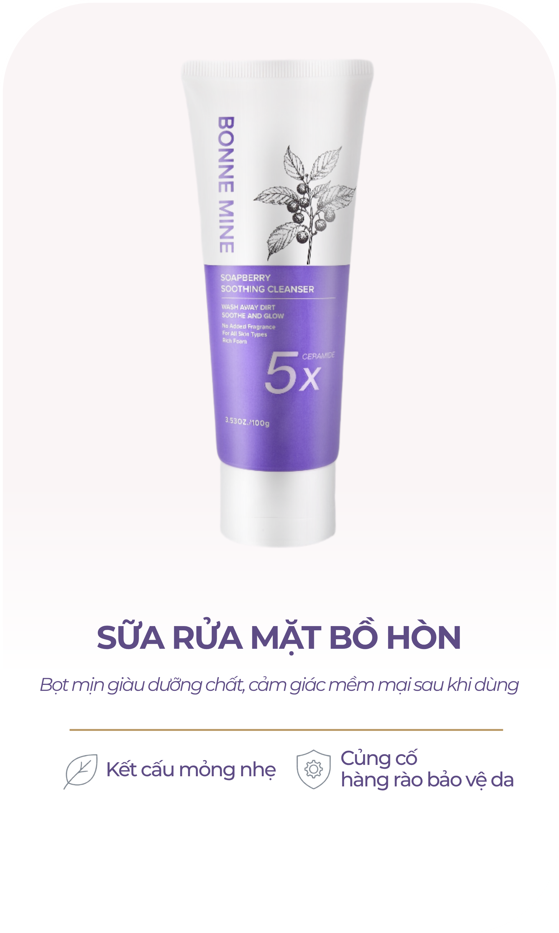Website - Product Card Cleanser