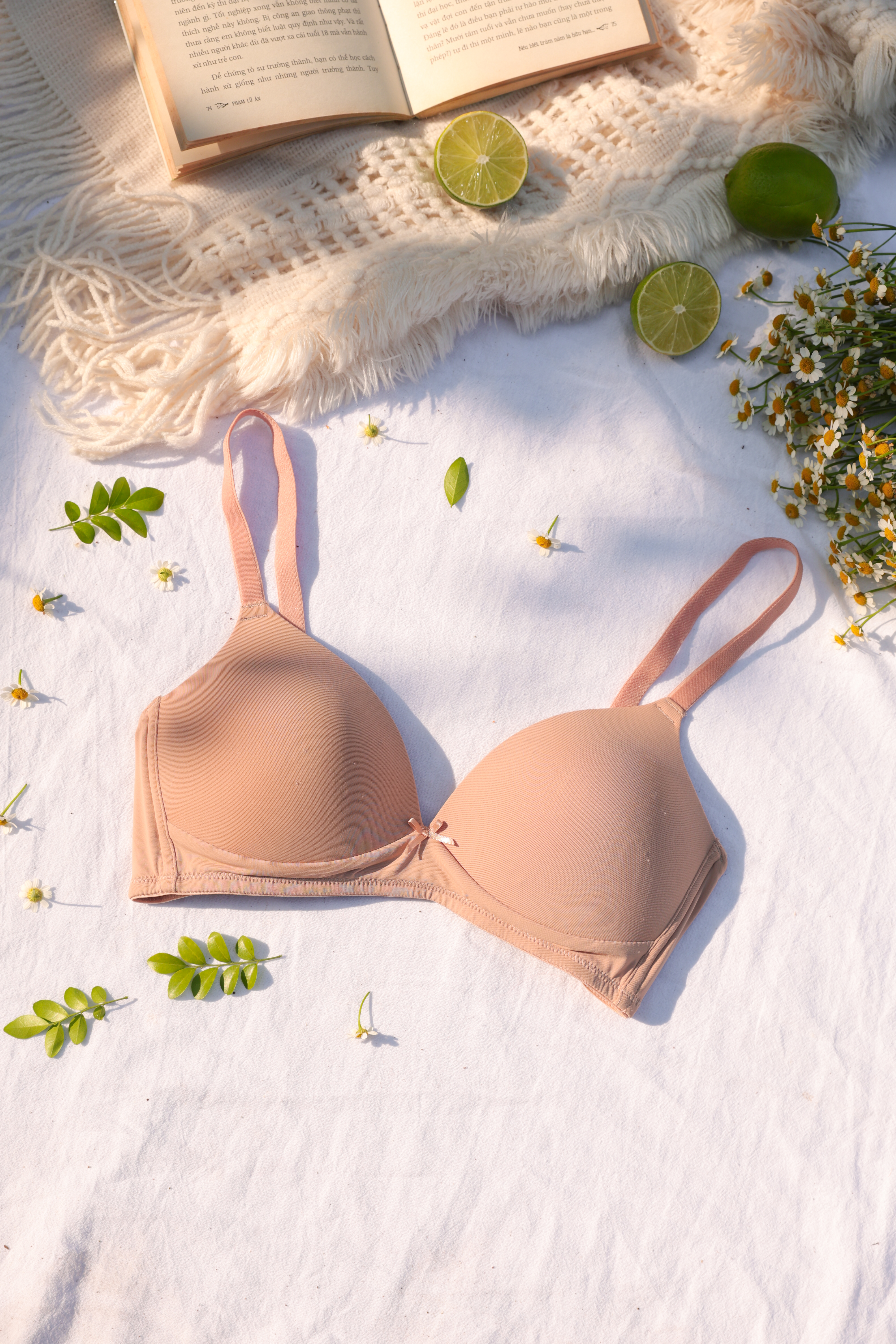 COMBO 2 Áo Ngực LOC Basic Thun Lạnh PREMIUM Mút Liền_thumbnail_0