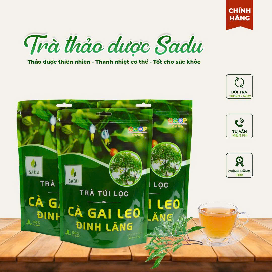 Trà cà gai leo đinh lăng Sadu 1kg