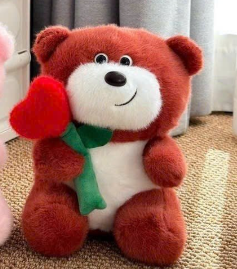 GẤU DÂU CẦM TIM