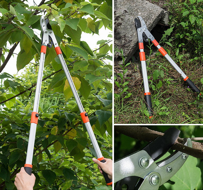 Kìm cắt cành canh SK5_thumbnail_2