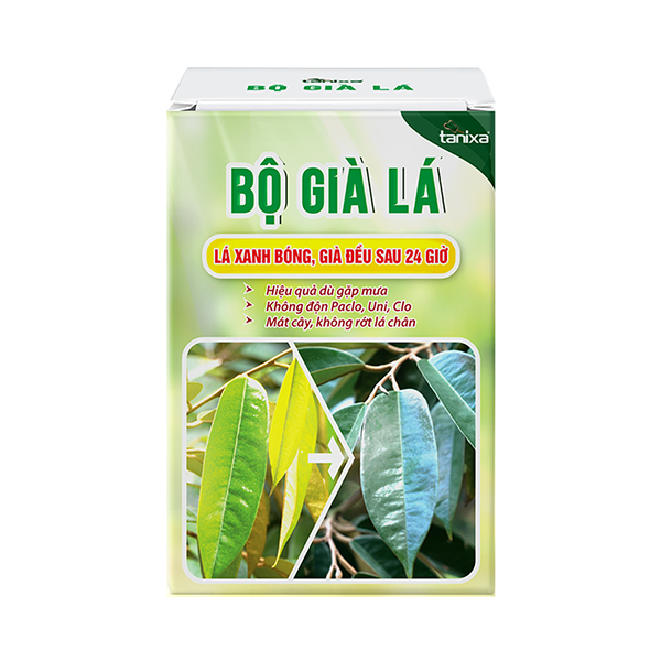 Bộ già lá Tanixa