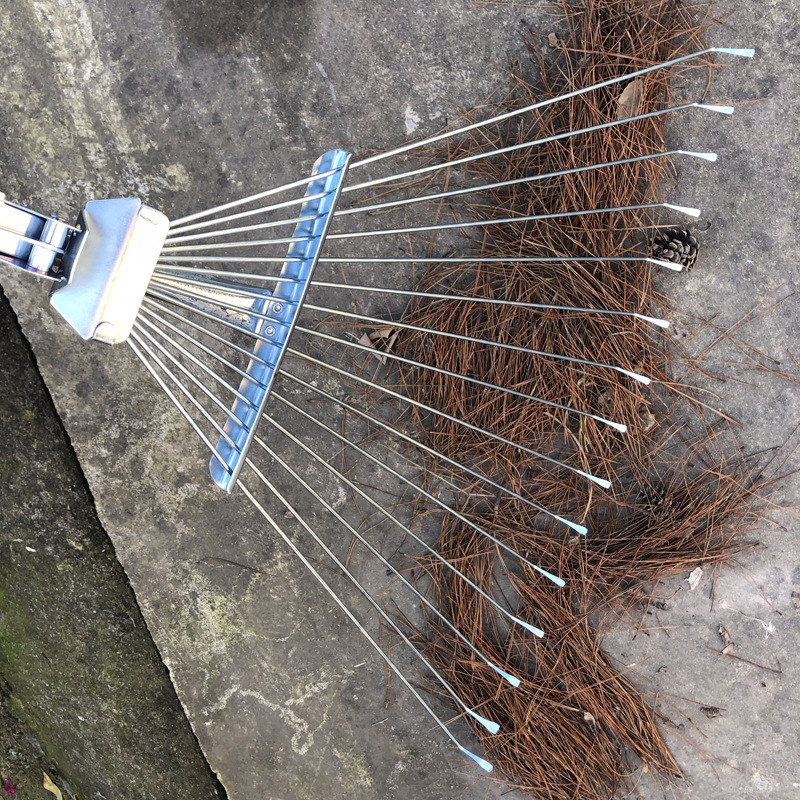 Chổi Cào Lá Cây_thumbnail_6