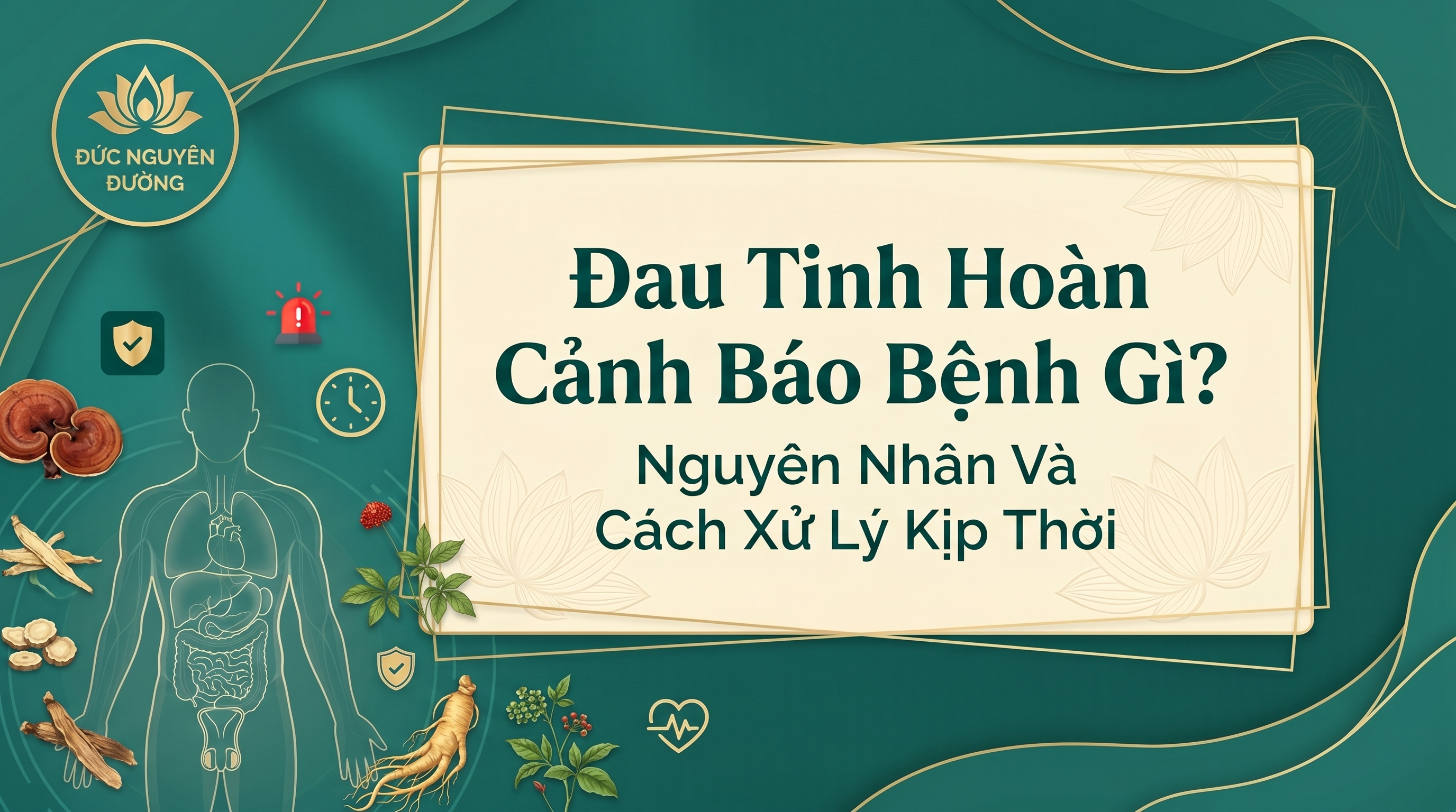 8 Cách Tăng Testosterone Tự Nhiên Cho Nam Giới Cực Hiệu Quả