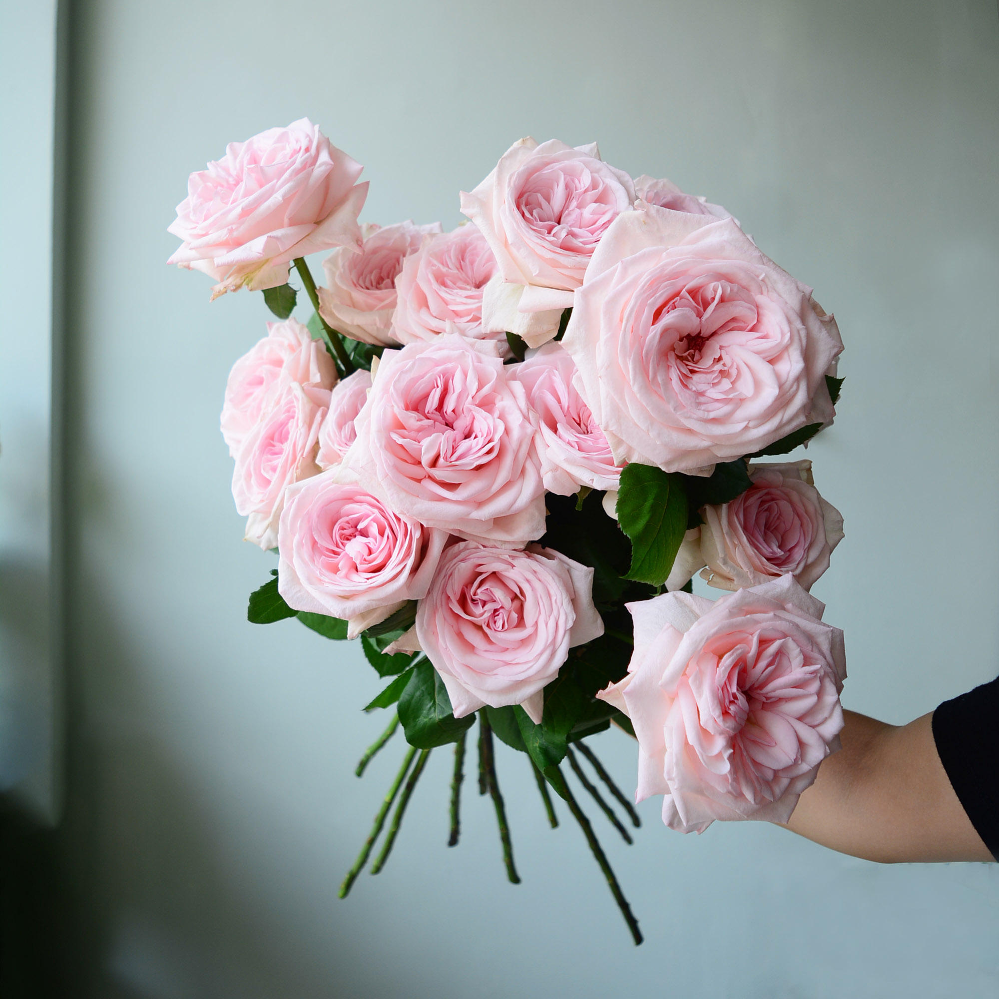 Nothing but Roses_1