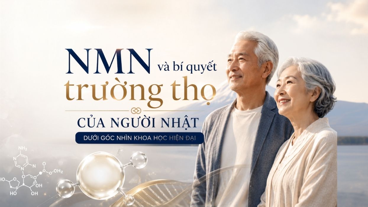NMN và bí quyết trường thọ của người Nhật dưới góc nhìn khoa học hiện đại