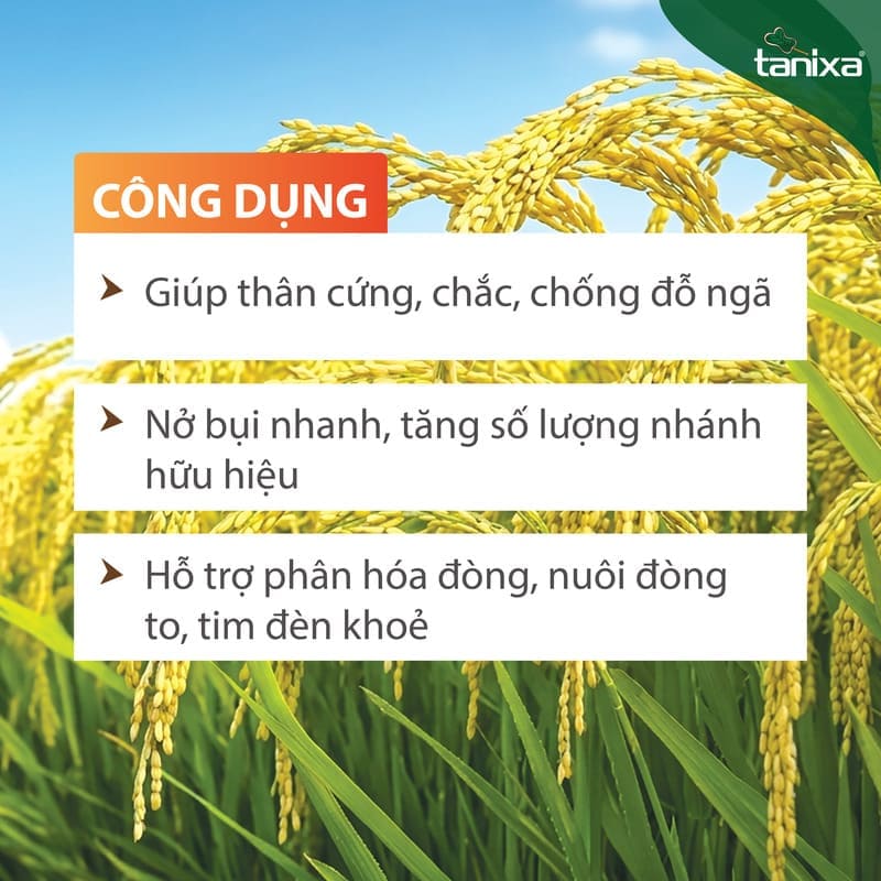 Bộ chuyên lùn lúa - đẻ nhánh Tanixa_thumbnail_3