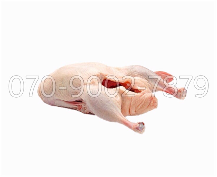 Vịt làm sạch ( 1.6kg-1.7kg ) ( con )