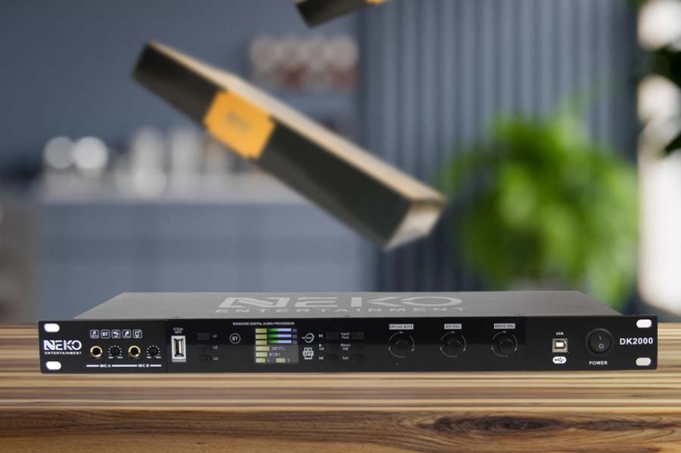 Tích hợp bộ xử lý DSP