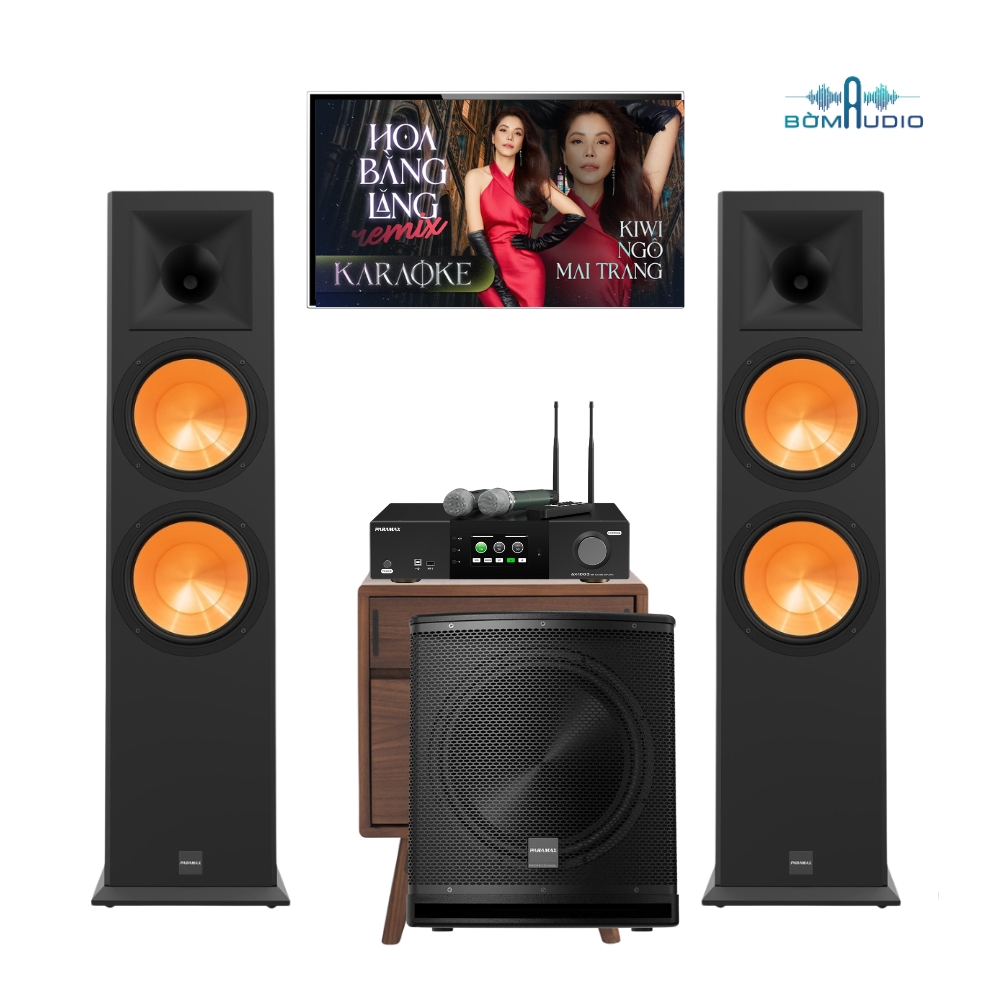 COMBO KARAOKE PARAMAX EURO 1002 LIMITED - PARA 2
