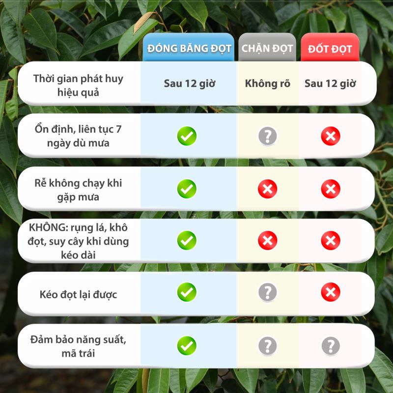Bộ đóng băng đọt_thumbnail_2