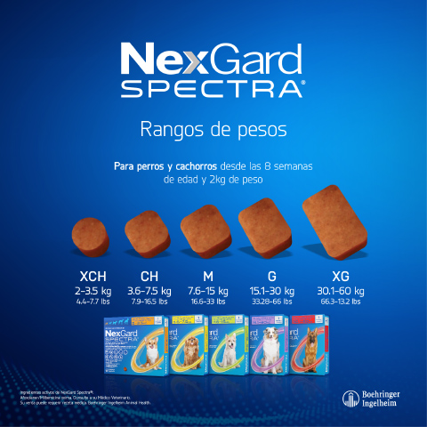 4_16-nexgard-spectra-pesos