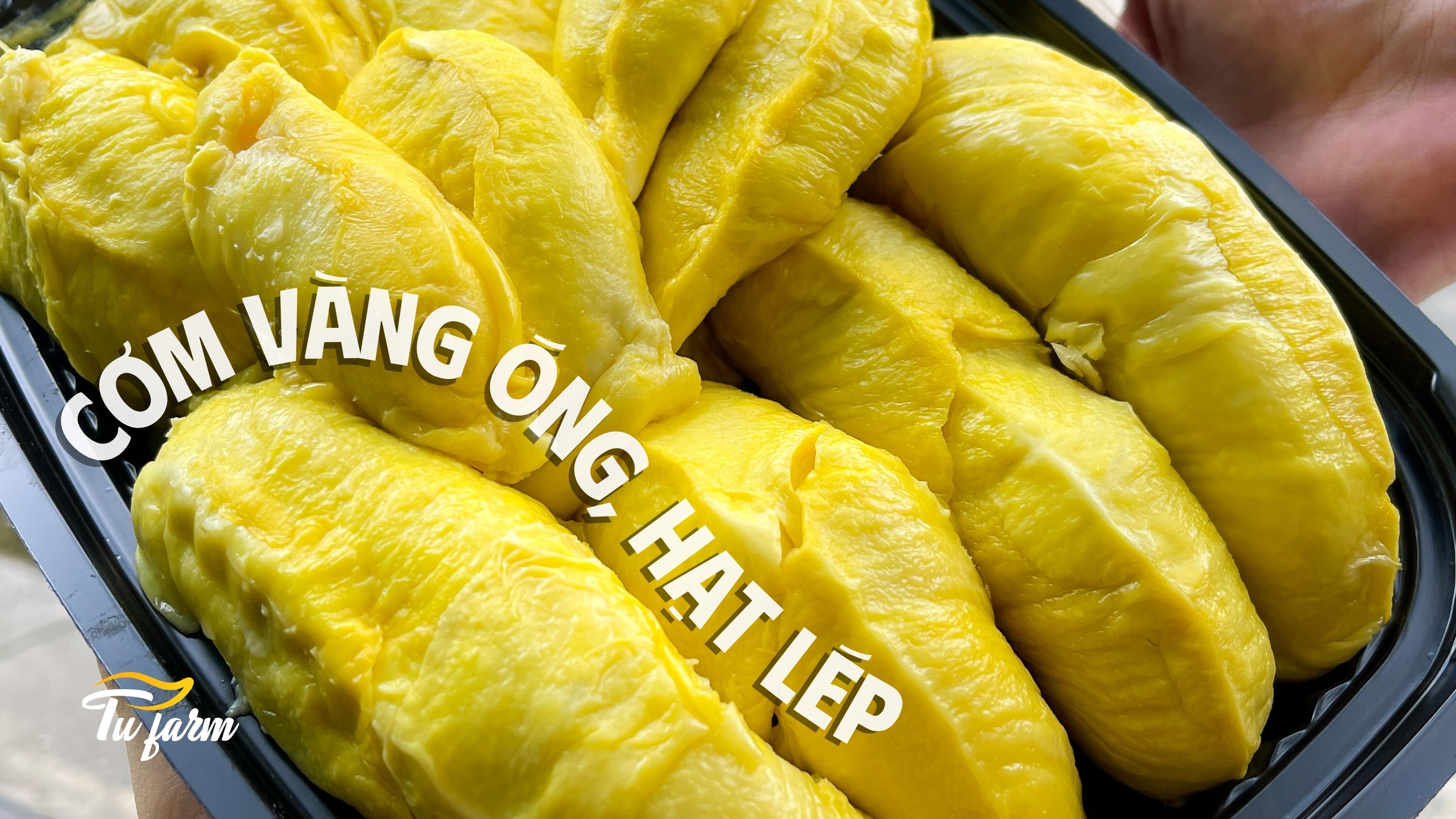 sầu riêng musang king tách sẵn
