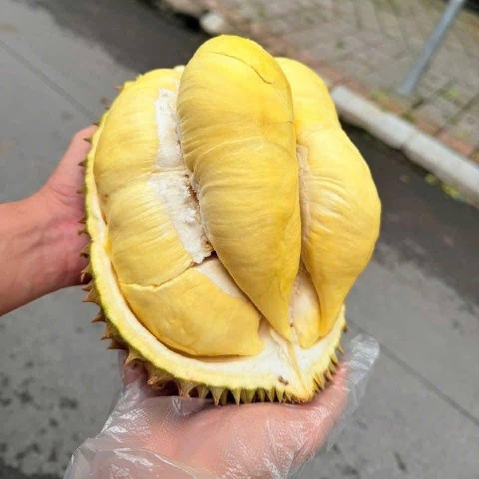 Sầu Riêng Thái