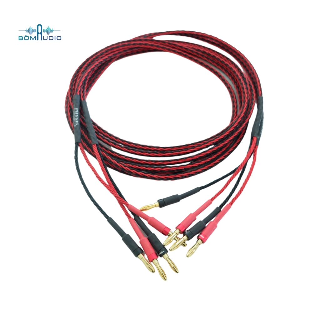 Dây Loa Bắp Chuối PHYSIS CLASSIC 2.5M_thumbnail_4
