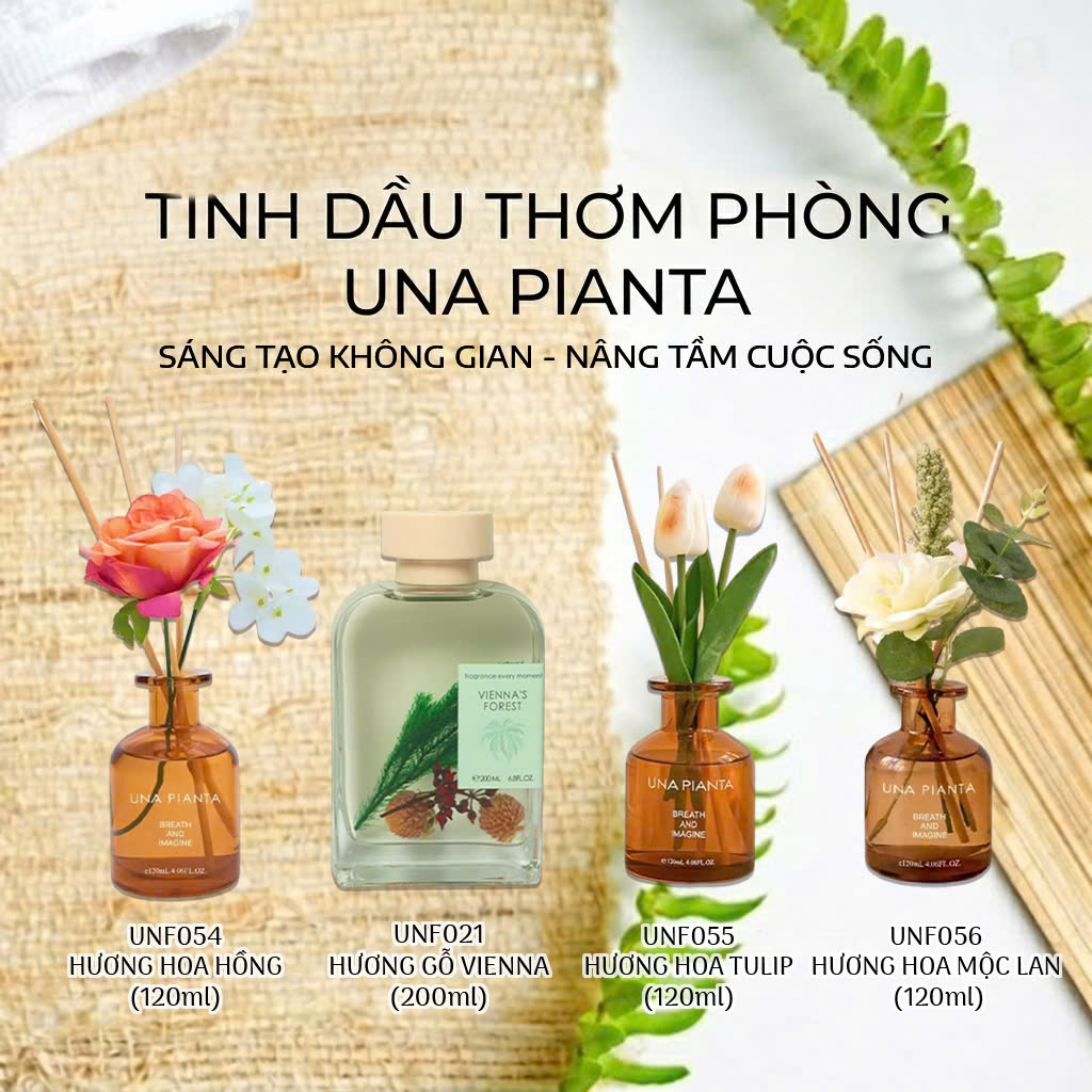 TINH DẦU KHUẾCH TÁN_thumbnail_1