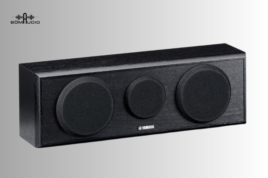 Loa center Yamaha NS-C150