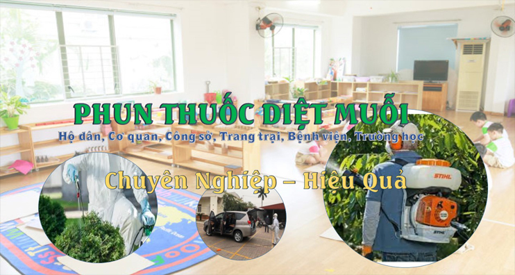 diet-muoi