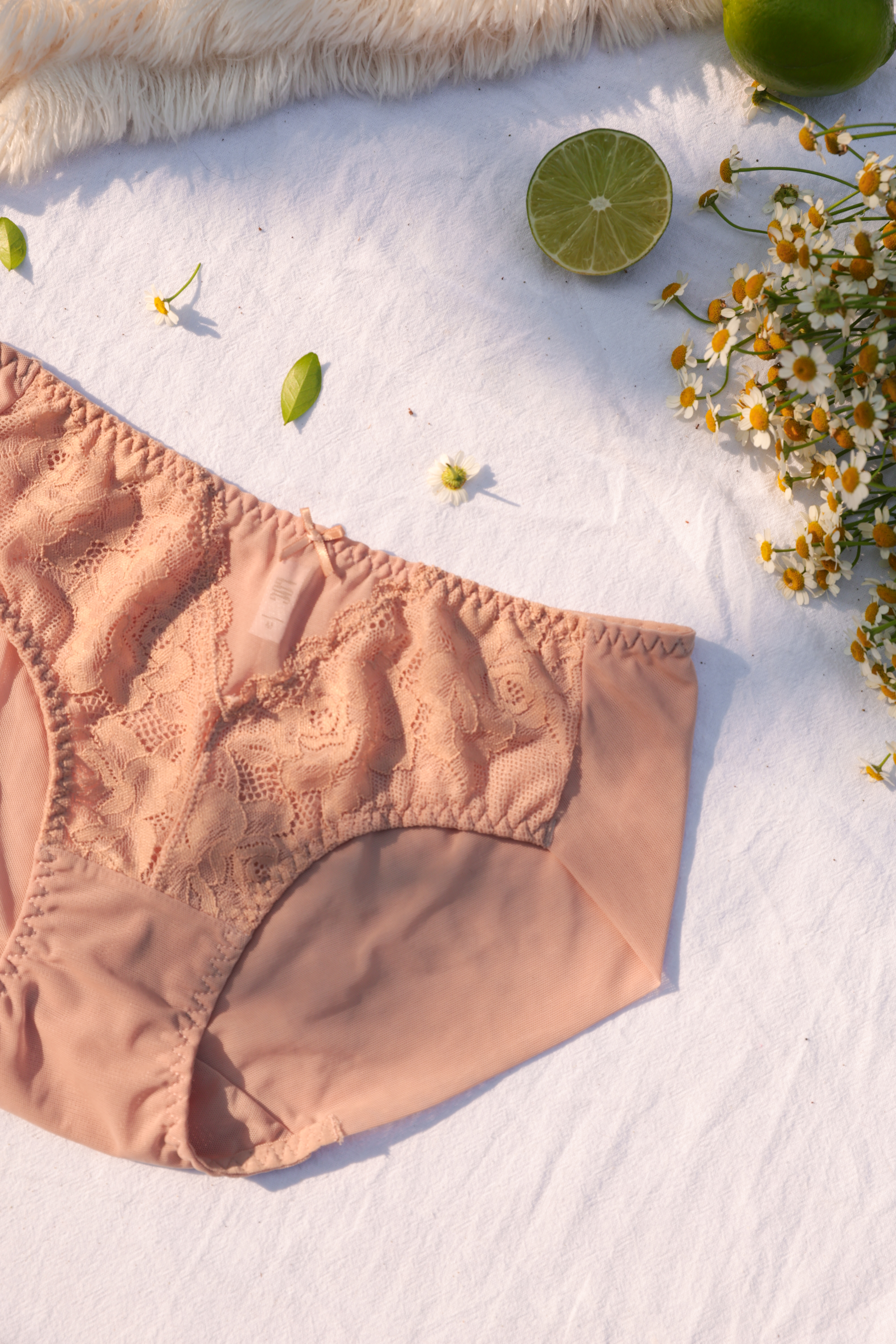 COMBO 3 Quần Lót LOC PREMIUM Lưng Vừa Phối Ren Trà My_thumbnail_3