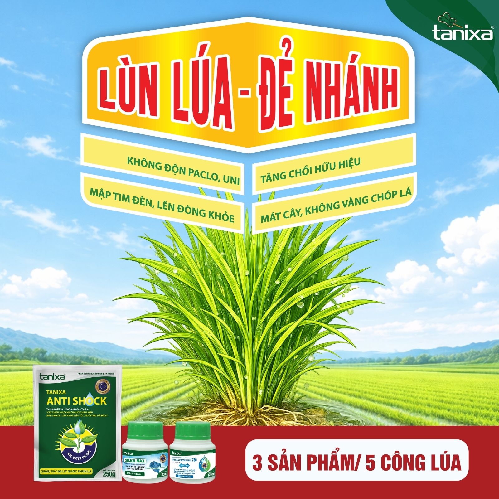 Bộ chuyên lùn lúa - đẻ nhánh Tanixa_thumbnail_7