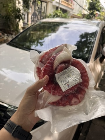 Râu tuộc đỏ Tako_thumbnail_4