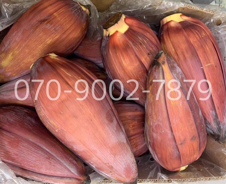Hoa chuối / bắp chuối | kg