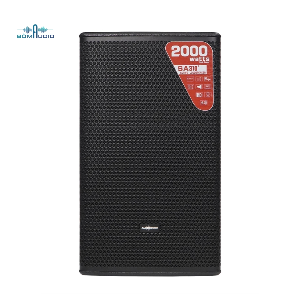 Loa Karaoke AUDIOCAENTER SA310+_thumbnail_1