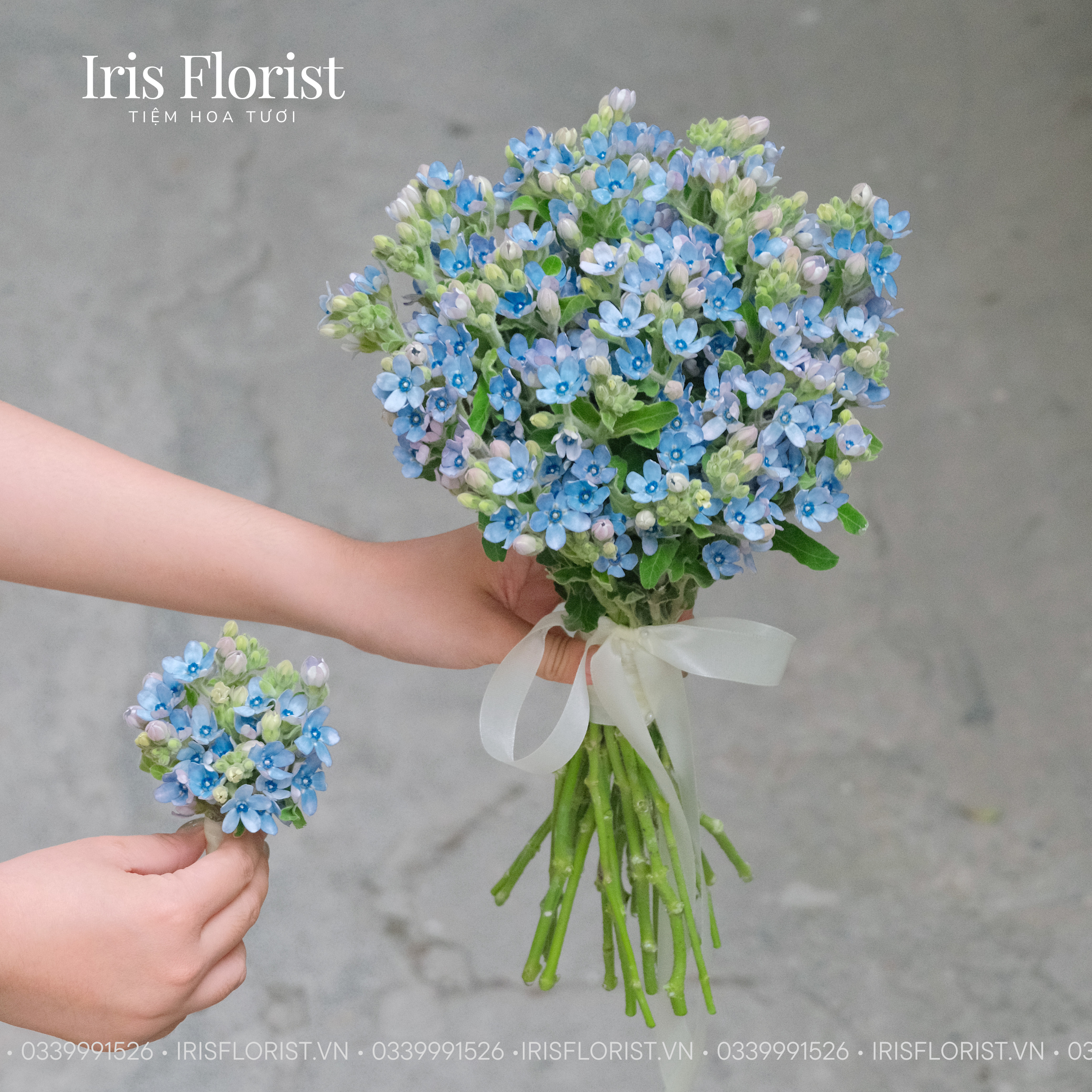 Bó hoa Lam tinh (Chụp Pre-wedding)