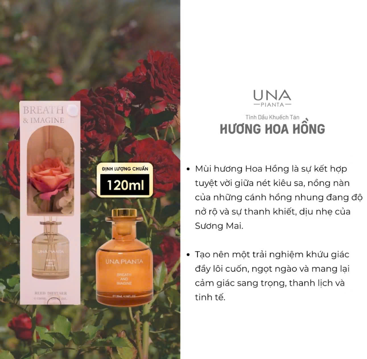 TINH DẦU KHUẾCH TÁN