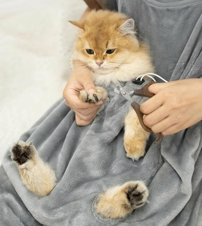 Tạp Dề Chăm Sóc Thú Cưng_thumbnail_3