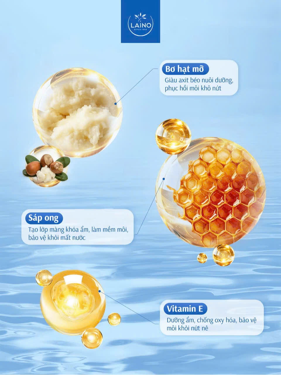 Son Dưỡng LAINO_thumbnail_8