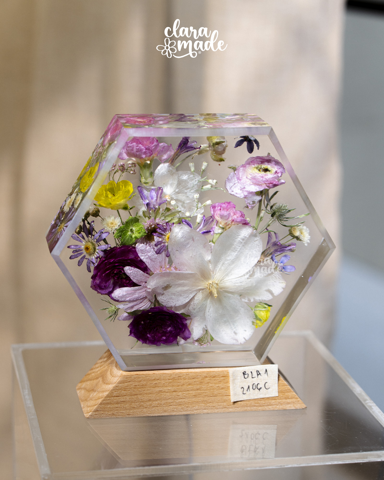 Đèn hoa khô Bloomlight Garden_thumbnail_24