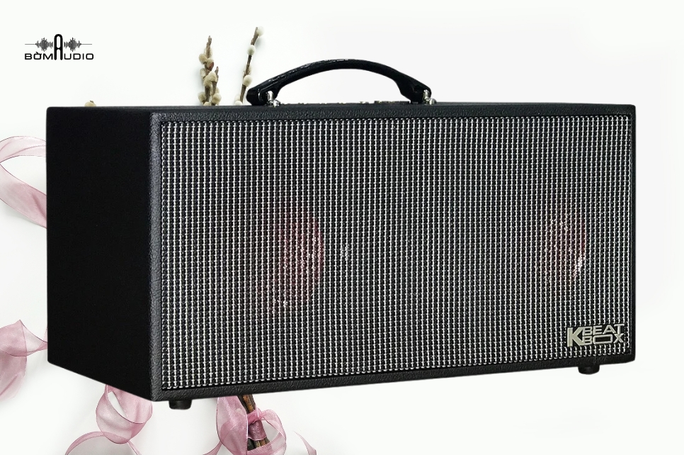 Đánh giá chi tiết loa karaoke di động Acnos CS450