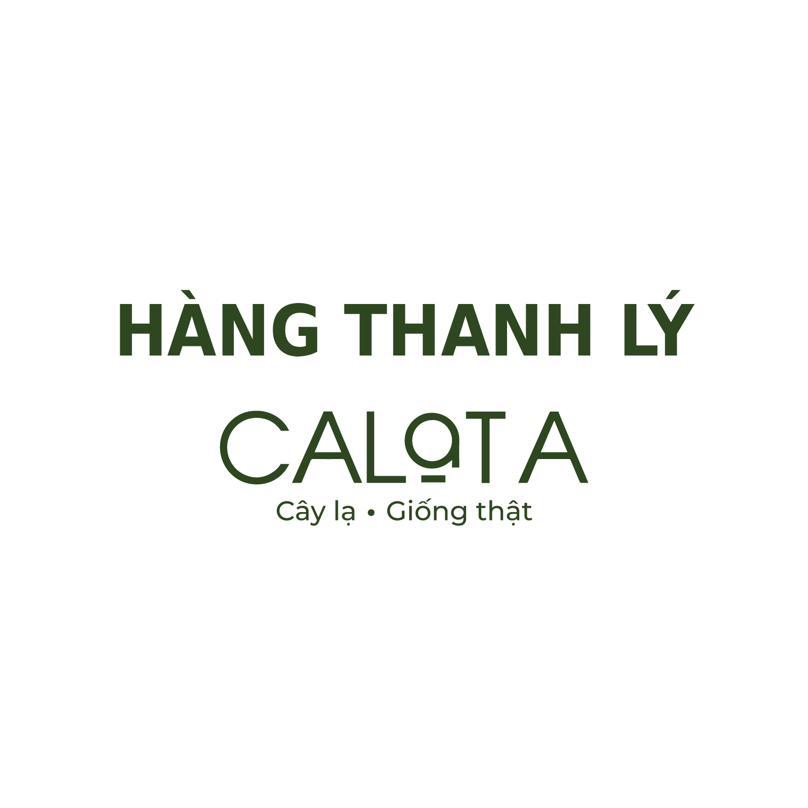 Hàng Thanh Lý_1