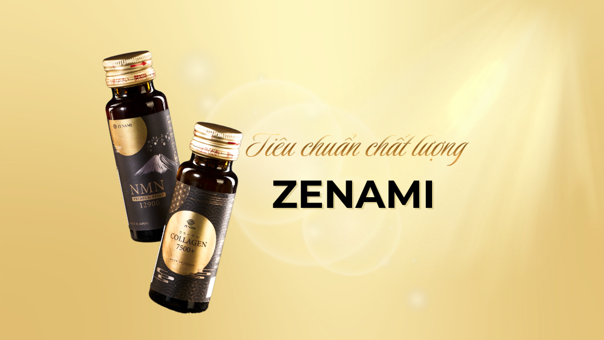 Chứng nhận và tiêu chuẩn chất lượng khẳng định uy tín của ZENAMI