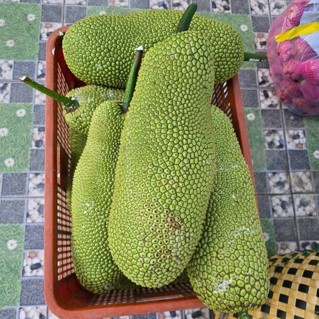 Mít Sầu Riêng_thumbnail_2