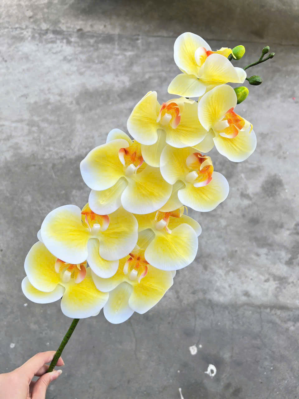 Lan Ướt Cao Su 9 Bông Trang Trí Đám Cưới Cao Cấp – Giả Như Thật, Bền Đẹp, Tiết Kiệm Chi Phí Decor Sự Kiện