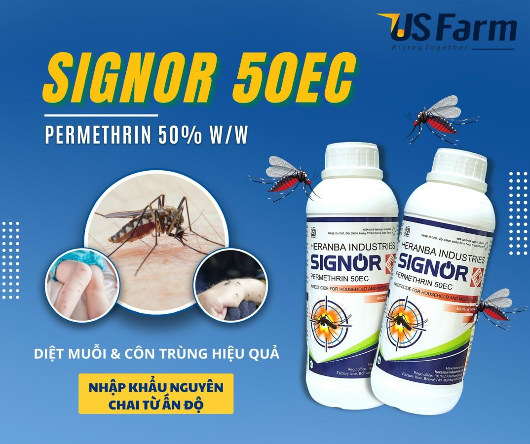 Thuốc Diệt Muỗi SIGNOR PERMETHRIN 50EC 1 Lít (Ấn Độ)