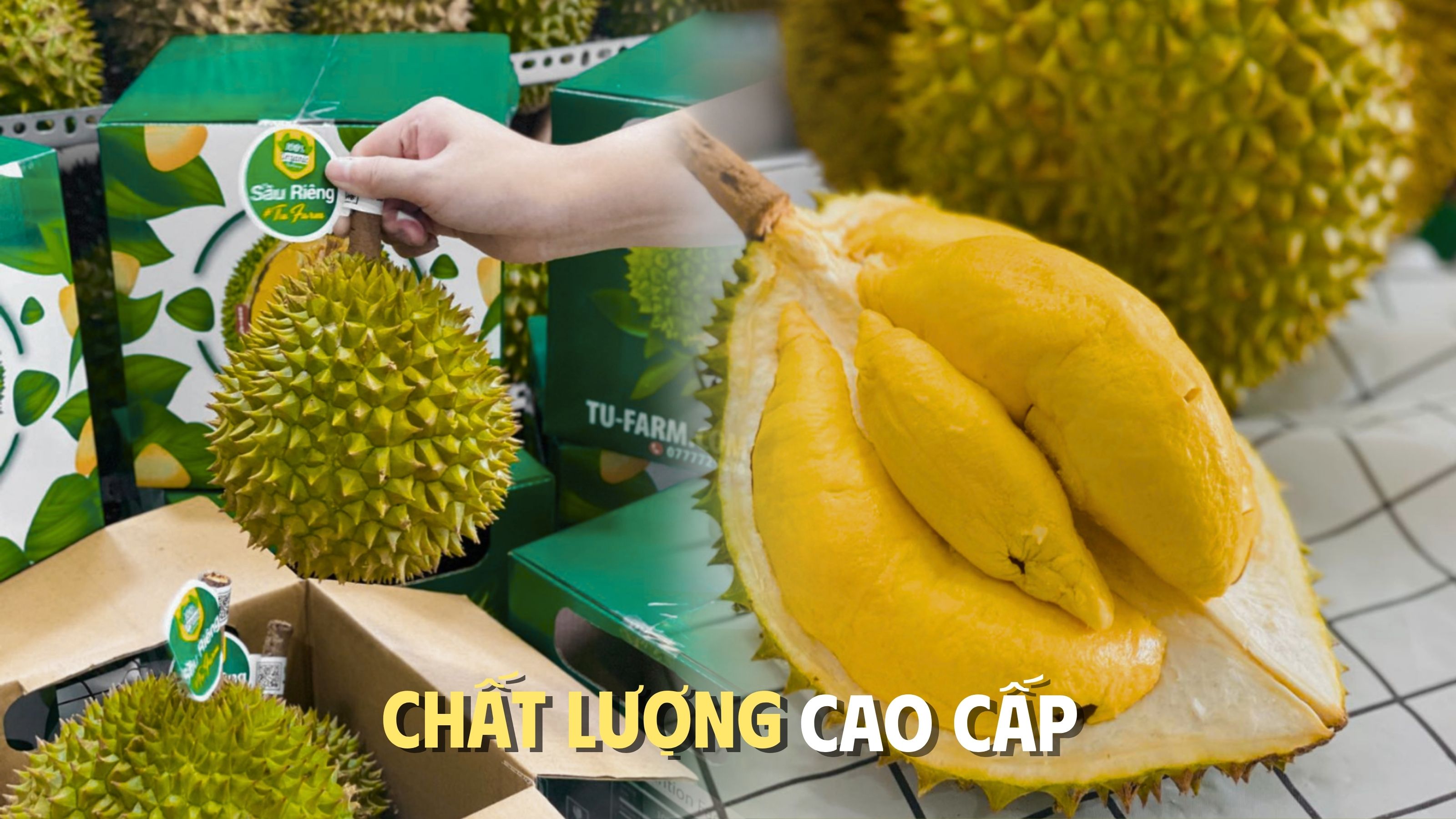 cách bảo quản sầu riêng rm1