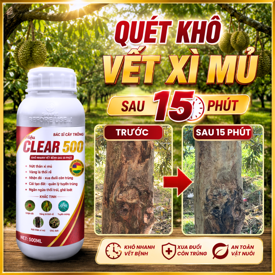 CLEAR 500_thumbnail_1