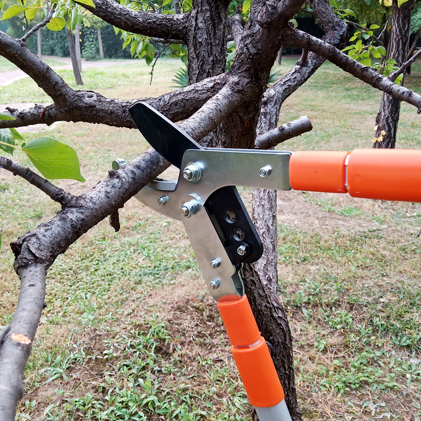 Kìm cắt cành canh SK5_thumbnail_6