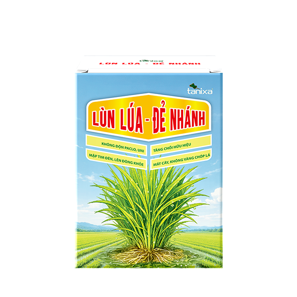 Bộ chuyên lùn lúa - đẻ nhánh Tanixa