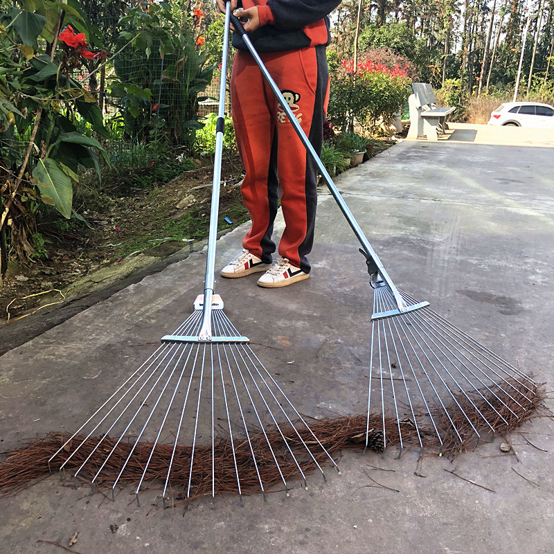 Chổi Cào Lá Cây_thumbnail_3