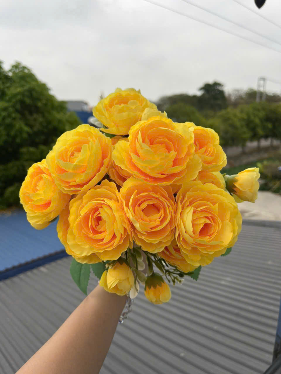 CỤM TRÀ NGỌC_thumbnail_3