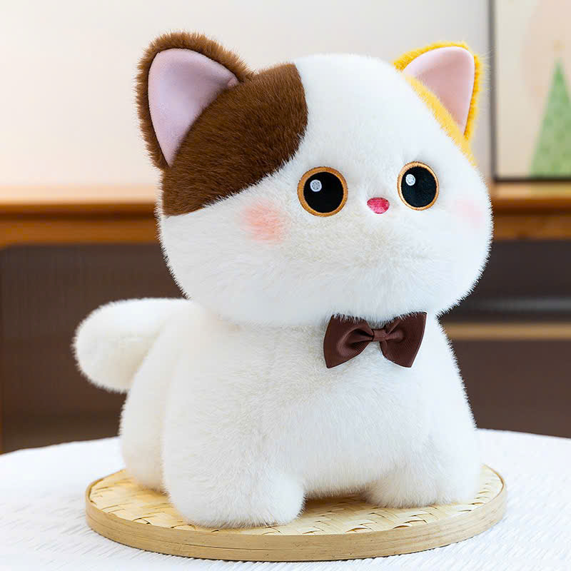 MÈO NƠ